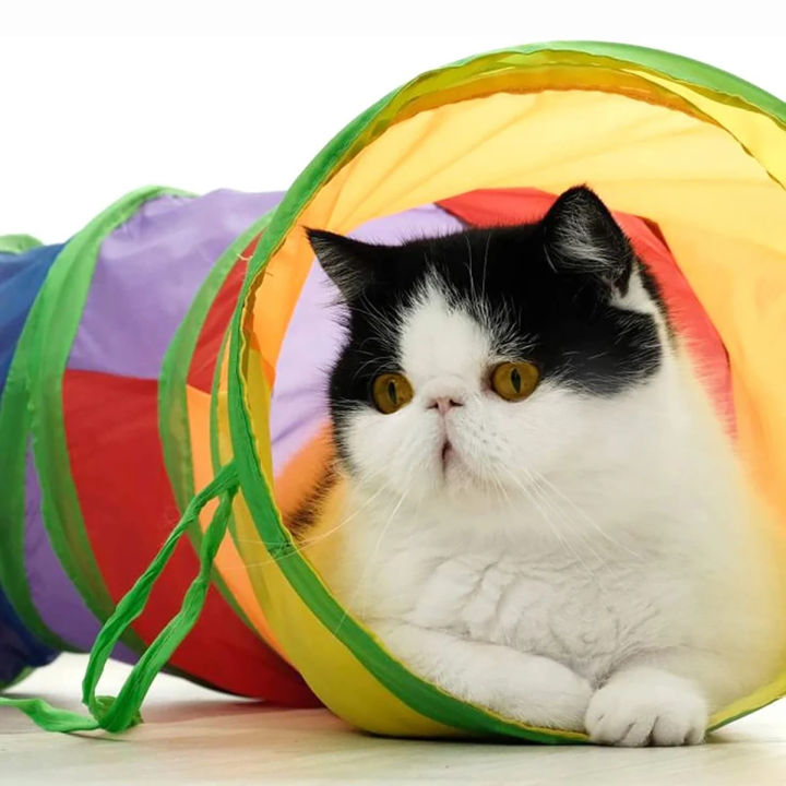 Cat%20Tunnel%20Tube%20Foldable%20Cat%20Toys%20Kitty%20Training%20Interactive%20Fun%20Toy%20Tunnel%20Bored%20for%20Puppy%20Kitten%20Pet%20Supplies%20Cat%20Accessories%20-%20Image%203