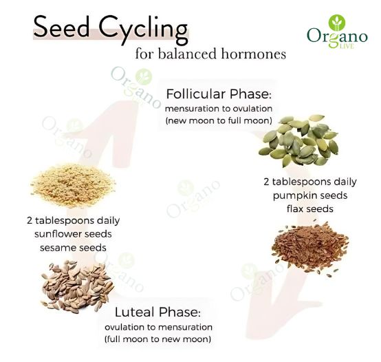 Seed%20cycle%20for%20PCOS%20kit%20200%20grams%20each,%20Original%20and%20Imported%20High%20quality%20I%20Pumpkin%20Seeds%20I%20Flax%20Seeds%20I%20Sesame%20Seeds%20I%20Unshelled%20Sunflower%20Seeds%20-%20Image%204