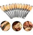 Wood Carving Tools, 12PCS Woodworking Carpentry Gouges Hand Chisel Tool with Wooden Handles and Storage Pouch for Beginners Hobbyists Professionals. 