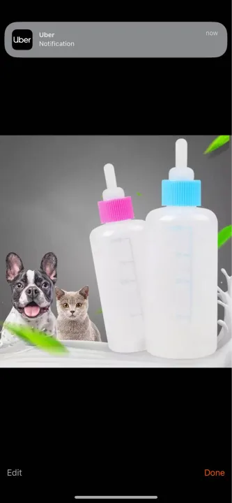 Pet%20Cat%20Dog%20Milk%20Bottle%20Pet%20Puppy%20Kitten%20Baby%20Animal%20Feeding%20Bottle%20set%20-%20Image%205