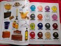 Kids famous words book 1000 words in picture. 