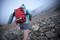 LifeStraw Personal Water Filter for Hiking, Camping, Travel, and Emergency Preparedness. 