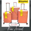 president go experience. 
