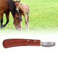 Hoof Trimmer Shears Ergonomic Stainless Steel Hoof Trimmer Shears Wear Resistant 19.5cm Sturdy Arc Shaped for Livestock. 