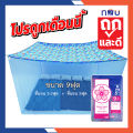 (Hot sale) mosquito net, mosquito net, 3.5 feet, 5 feet, 6 feet, 8 feet, 9 feet, 12 feet, 1-8 people, Poly mattress, economical fabric, Sakura White Netto. The roof is Poly fabric to prevent dust and wearable light. 
