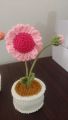 Crochet Daisy Flower Mini Pot   /Crochet Flowers. 