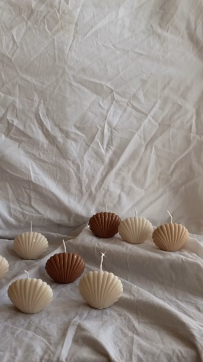 Small shell candle pack of 2 🐚🤍(customization available) | Daraz.com.np