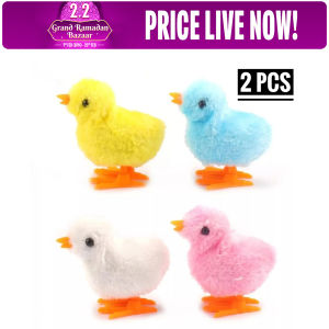 (2 Pcs) Chicken Clockwork Toys – Moving Chickens for Kids, Fun Playset