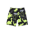 Children Boy Swimsuit Swimwear Suit 3Pcs Sunscreen Prevention Dinosaur Printing Long Sleeves Shorts Caps Swimwear Quick Drying. 