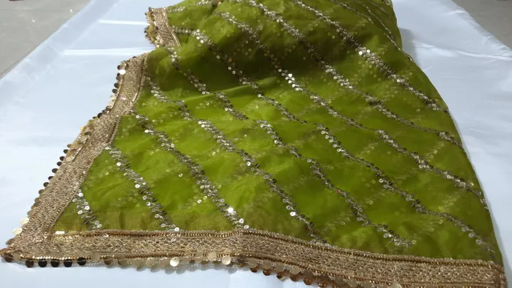 Fancy%20nylon%20organza%20dupatta%20with%205mm%20satara%20-%20Image%204