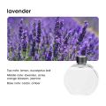 Home Desktop Diffuser Aromatherapy Machine USB Smart Air Purifier with Display for Car Bathroom Air Deodorization Shangri-la. 