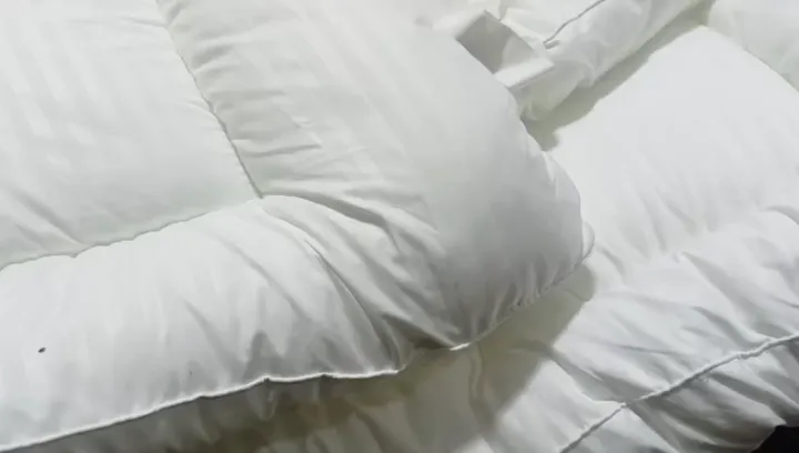 Premium Quilted Mattress Topper – Extra Soft, Breathable, Thick Padding ...
