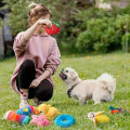 7-piece set of puppy sound toys loose plush pet chewing plush fruit snacks and vegetable puppy toys suitable for cute playm. 