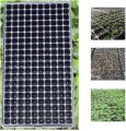 200 holes seedling tray for seeds stater (Pack of 1,2,4,6,8,10). 