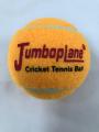 Jumbo plane Tennis Ball (Made in China)3pcs.. 