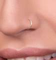 20 Pcs Nose Ring Nose Pin Naak Ki Bali Nath Nathni Nathli Long Chain Nose Jewelry For Piercing And Non Piercing Women Girls Traditional Nath Bridal Nathni Silver Gold Plated Nose Hoop Clip On Adjustable Nose Stud Ethnic Fashion Accessories. 