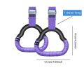 Multi-Function Wall Mounted  Adjustable Fitness Rings Indoor Home Gym Equipment for Pull Ups Dips Stretching & Body Strength. 