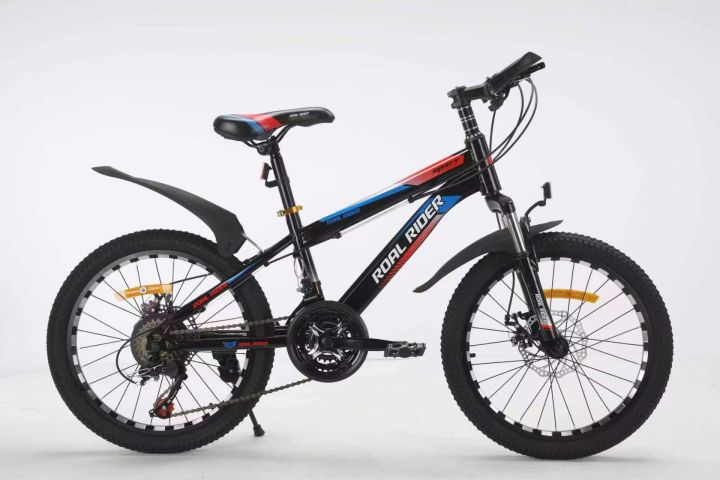 Roal Rider Cycle 20 inch with 10 Gears imported China