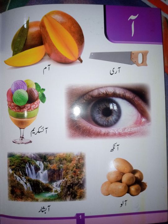 My%20first%20learning%20Urdu%20Alphabet%20(Urdu%20Qaidaa)%20premium%20quality%7C%20big%20size%20pictures%20-%20Image%202
