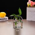 Creative Hydroponic Plant Glass Simple Modern Bottle Flower Vase for Centerpieces Desktop Home Dining Wedding Modern Wedding. 