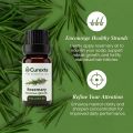 Curexta Rosemary Essential Oil for hair growth and multi-purpose uses - 10 ml. 