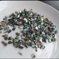 10 g Natural Crushed mini abalone shells Mother of pearl shell for resin art. 