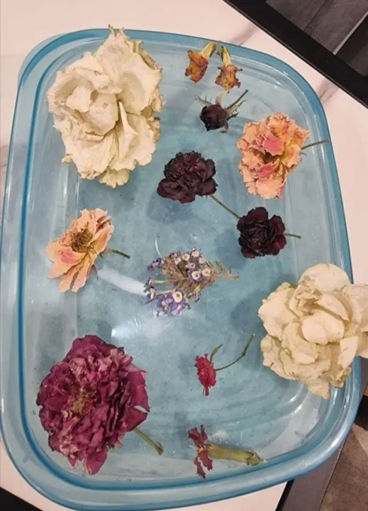 Silica%20gel%20flower%20drying%20powder%20250%20gram%20and%20500%20gram%20%7C%20Silica%20gel%20flower%20drying%20dry%20powder%20%7C%20Silica%20gel%20for%20drying%20wedding%20bouquet%20%7C%20Silica%20gel%20for%20drying%20Nuts%20and%20seeds%20%7C%20Drying%20Powder%20for%20flowers%20%7C%20Drying%20flowers%20powder%20for%20resin%20art%20-%20Image%202