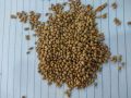 Natural Whole Moth Beans 1000gm. 