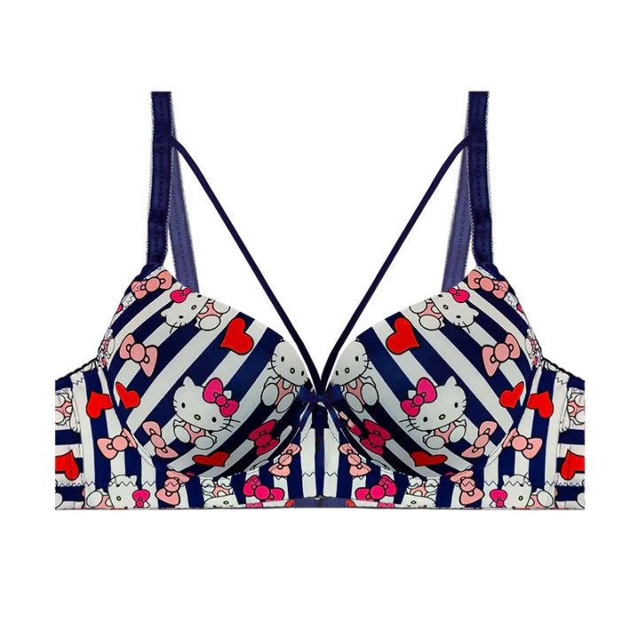 Hello%20Kitty%20Daily-wear%20Push-up%20Bra%20-%20Image%205