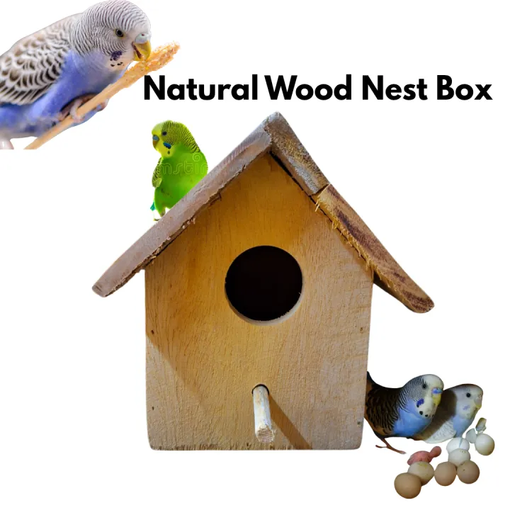 Wood Bird House | Breeding Box For Love Birds, Budgies, Finches ...