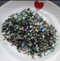 10 g Natural Crushed mini abalone shells Mother of pearl shell for resin art. 