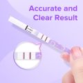 Pelvifine Ovulation Test Strips for Women, Ovulation Predictor Kit, Accurate Fertility Tests for Home, LH Strips with Cups, 25pc. 