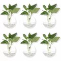 2/4/6/8 Pack Wall Hanging Glass Terrari2um - Self-Watering Hydroponic Planter for Home Office Decor, Handmade Round Crystal Vase. 