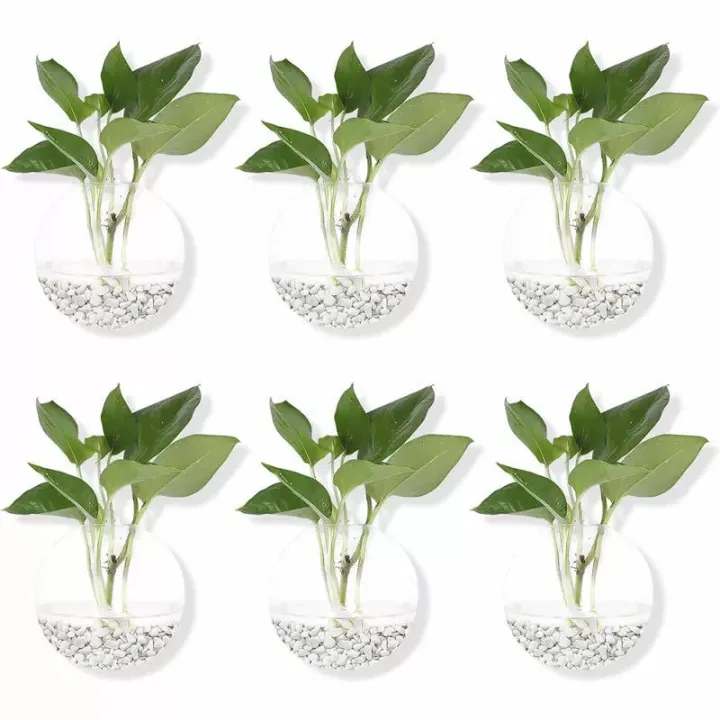 2/4/6/8%20Pack%20Wall%20Hanging%20Glass%20Terrari2um%20-%20Self-Watering%20Hydroponic%20Planter%20for%20Home%20Office%20Decor,%20Handmade%20Round%20Crystal%20Vase%20-%20Image%203