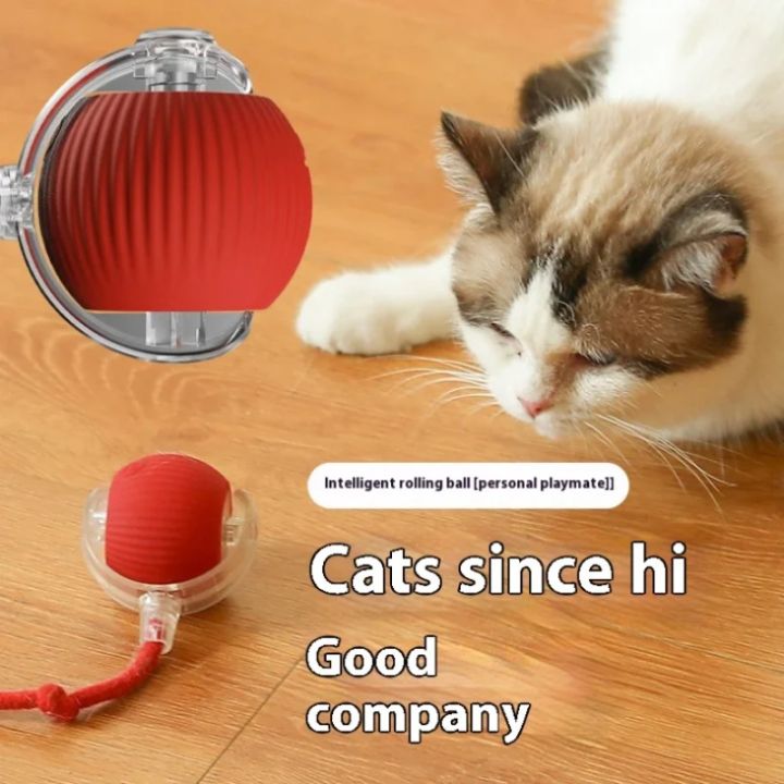 Cat%20Interactive%20Ball%20Toys%20Automatic%20Rolling%20Ball%20For%20Kitten%20Rechargeable%20Smart%20Pet%20Electric%20Toys%20With%20Teaser%20Sensor%20Cat%20Ball%20Toy%20-%20Image%204
