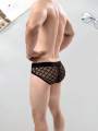 2PCS  Solid color  mesh simple plaid  Men's low waist seamless semi transparent brief. 