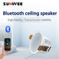 2 Inch mini home audio audience Bluetooth Ceiling Speaker Stereo sound Indoor music speakers Built In Digital Class D Amplifier. 