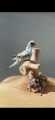 Australian parrot Taxidermy / Stuffed parrot / Hoonudkari. 