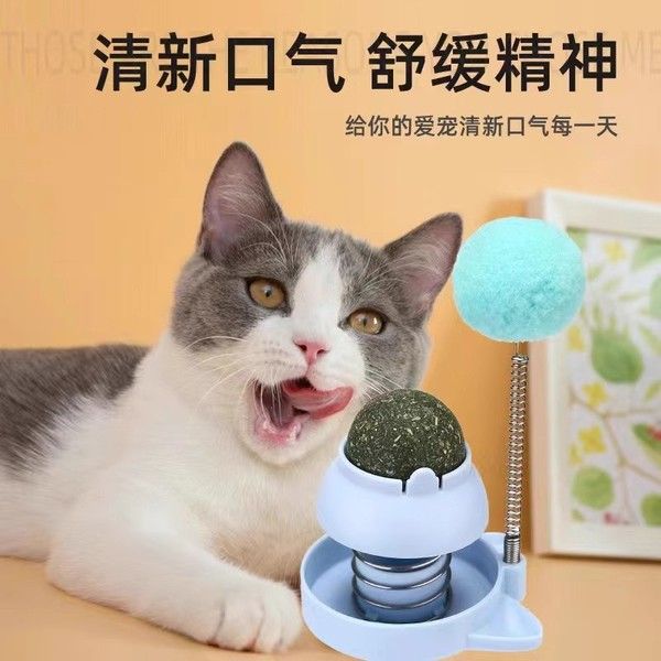 cat nip ball with spring toy