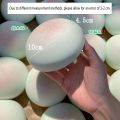 Simulated Bread Squishy Squeeze Toys Soft Stress Relief Toy Slow Rising Sensory Fidget Toys for Anxiety ADHD for Adults.
