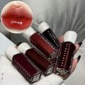 Pinkyfocus Glossy Lip Gloss Moisturizing Waterproof Long Lasting No Transfer Plump Lips Holiday . 
