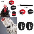 2pcs No Crow Collar for Roosters No Crowing Belt Neckband Poultry Supplies Anti Crow Rooster Collar No Noise.