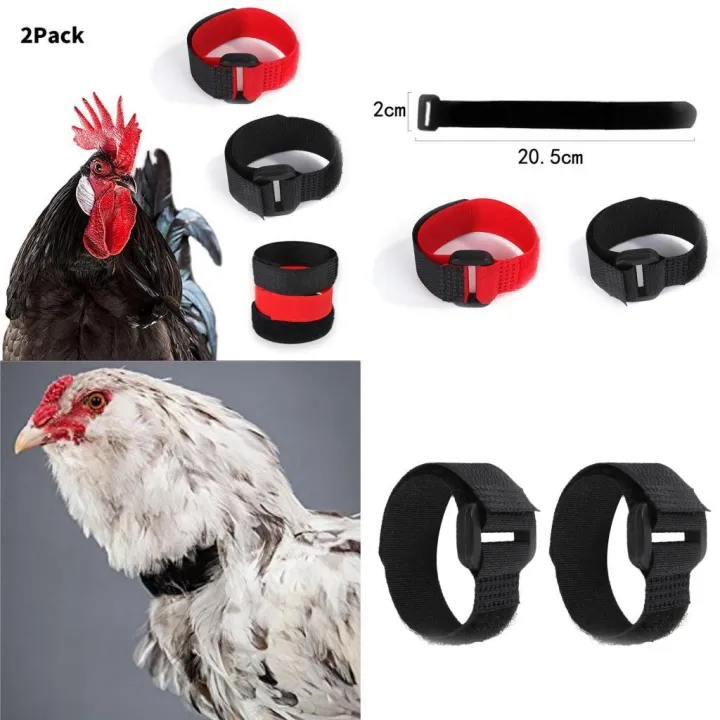 2pcs%20No%20Crow%20Collar%20for%20Roosters%20No%20Crowing%20Belt%20Neckband%20Poultry%20Supplies%20Anti%20Crow%20Rooster%20Collar%20No%20Noise%20-%20Image%204