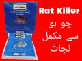 The Strongest And Most Effective Rat Poison, Rat Killer, Rat And Mouse Killer, Highly Powerful Kill At the Moment, Rat Killer Wheat, Rat And Mouse Killer, Rat Killer Poison, Rat And Mouse Poison,. 