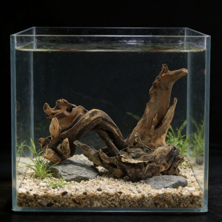 1pc%20Small%20Natural%20Driftwood%20for%20Aquarium%20Styling%20Carefully%20Selected%20Natural%20Aquarium%20Decor%20Driftwood,%20Reptile%20Tank%20Wood%20Decor%20-%20Image%205