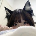 1PC Halloween Cat Ear Cosplay Headband for Women - 2026 New Style, Cute Hairband for Face Washing, Photo-Ready Headpiece. 