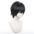Anime Jujutsu Fushiguro Toji Cosplay Synthetic wig Short Black hair for men costumes Wigs. 