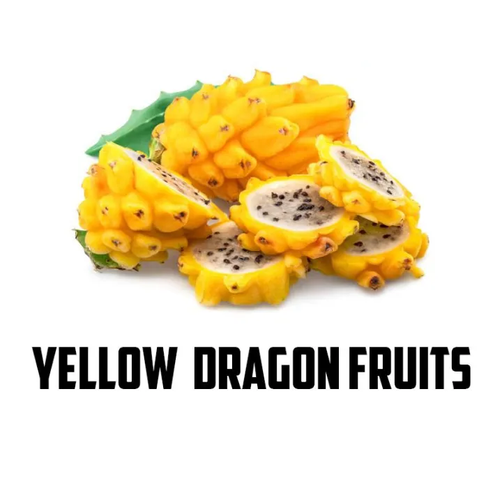 Original%20Dragon%20Fruit%20Seeds%20Fresh%20Seeds%20pack%20of%2010%20Dragon%20seeds%20-%20Image%207