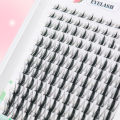 Fairy Lash Clusters Natural Look Manga Eyelash Clusters Wispy D-Curly Cluster Eyelash Extensions 120 Pcs 8-16MM.