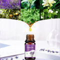 Water Soluble Aromatherapy Essential Oil Liquid for Humidifier Aroma Diffuser Auto Air Freshener Plant Fragrance Oils Perfume. 